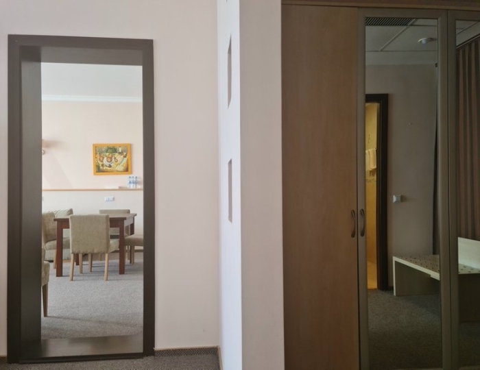 Люкс (отель «Аквапарк») - Комплекс «Миндальная роща»